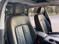 Audi A6 allroad 50 TDI 3.0 quattro tiptronic Evolution-TETTO PAN Nero - thumbnail 36