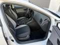 SEAT Leon Reference 1.2 TSI Sitzhzg. 1-Hand Service n Weiß - thumbnail 15