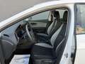 SEAT Leon Reference 1.2 TSI Sitzhzg. 1-Hand Service n Weiß - thumbnail 6
