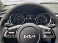 Kia XCeed Xceed 1,0 TGDI Silber Silber - thumbnail 12