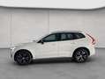 Volvo XC60 XC60 T6 AWD Recharge R-Design Glasd PilotAssist BL Weiß - thumbnail 2