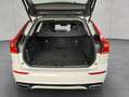 Volvo XC60 XC60 T6 AWD Recharge R-Design Glasd PilotAssist BL Weiß - thumbnail 5