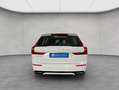 Volvo XC60 XC60 T6 AWD Recharge R-Design Glasd PilotAssist BL Weiß - thumbnail 5