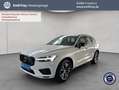 Volvo XC60 XC60 T6 AWD Recharge R-Design Glasd PilotAssist BL Weiß - thumbnail 1