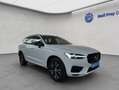 Volvo XC60 XC60 T6 AWD Recharge R-Design Glasd PilotAssist BL Weiß - thumbnail 8