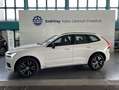 Volvo XC60 XC60 T6 AWD Recharge R-Design Glasd PilotAssist BL Weiß - thumbnail 27