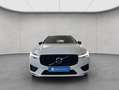 Volvo XC60 XC60 T6 AWD Recharge R-Design Glasd PilotAssist BL Weiß - thumbnail 9