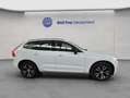 Volvo XC60 XC60 T6 AWD Recharge R-Design Glasd PilotAssist BL Weiß - thumbnail 8