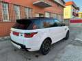 Land Rover Range Rover Sport 3.0 tdV6 HSE Dynamic 249cv auto Bianco - thumbnail 5
