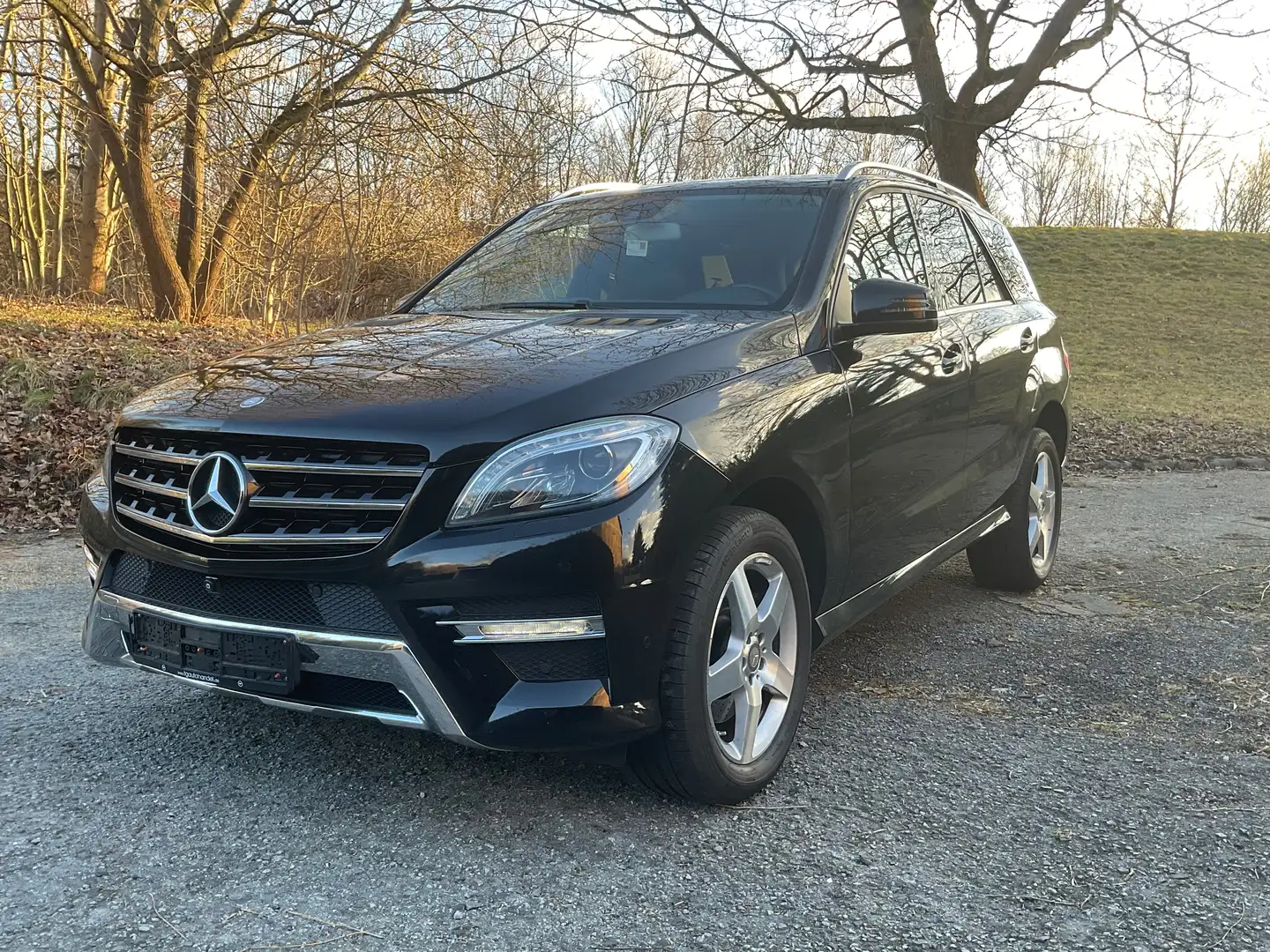 Mercedes-Benz ML 350 ML 350 BlueTEC 4MATIC 7G-TRONIC   AMG Line Black - 1