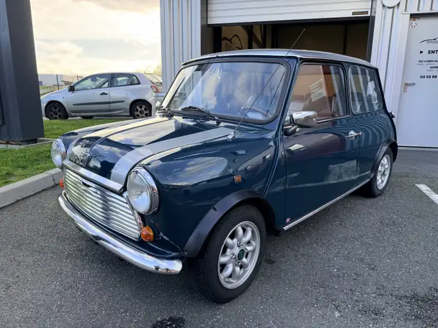 MINI 1000 1000