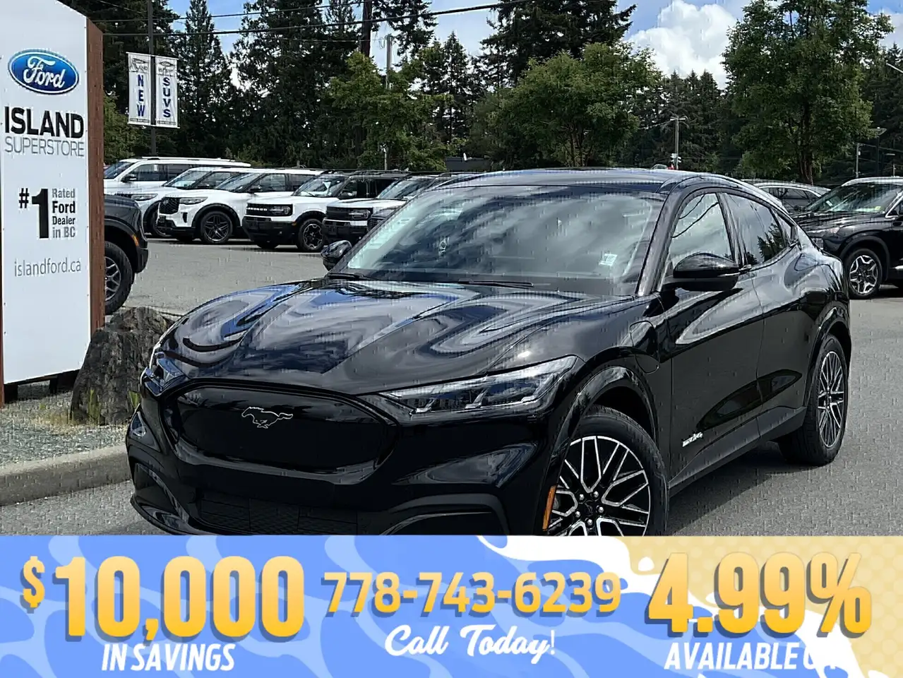 Ford Mustang Mach-E снимка Ford Mustang Mach-E
