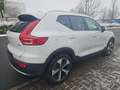 Volvo XC40 B3 Core AHZV /Fahr-Paket Weiß - thumbnail 5