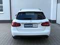 Mercedes-Benz C 300 T d 4Matic *DISTR+*STANDHZG*HUD*NIGHT*2H* Blanc - thumbnail 16