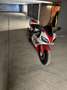 Yamaha YZF-R1 1998 ROOD-WIT GEKEURD VOOR VERKOOP Rouge - thumbnail 1