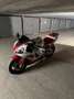Yamaha YZF-R1 1998 ROOD-WIT GEKEURD VOOR VERKOOP Rouge - thumbnail 3