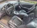 Mercedes-Benz CLK 55 AMG Deutsches Fahrz- Scheckheft - U-Frei Nero - thumbnail 9