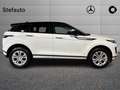 Land Rover Range Rover Evoque 2.0D I4 150 CV AWD Auto S Bianco - thumbnail 2