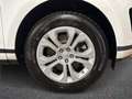 Land Rover Range Rover Evoque 2.0D I4 150 CV AWD Auto S Bianco - thumbnail 8
