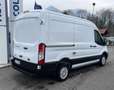Ford Transit 2.0 tdci hybrid 130 cv passo medio tetto medio Bianco - thumbnail 3