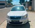 Skoda Octavia Octavia Combi 1,6 Twenty TDI DPF Twenty Weiß - thumbnail 2