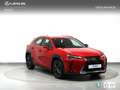 Lexus UX 250h Business Navigation 2WD Rojo - thumbnail 19