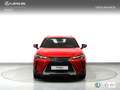Lexus UX 250h Business Navigation 2WD Rojo - thumbnail 5