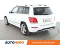 Mercedes-Benz GLK 220 GLK 220 CDI 4Matic BlueTec Aut*AMG Paket*XENON*NAV Weiß - thumbnail 4