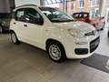 Fiat Panda Panda 1.2 super jolie a voir ✅✅ - thumbnail 5