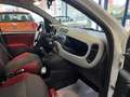 Fiat Panda Panda 1.2 super jolie a voir ✅✅ - thumbnail 13