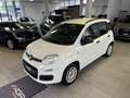 Fiat Panda Panda 1.2 super jolie a voir ✅✅ - thumbnail 3