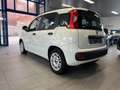 Fiat Panda Panda 1.2 super jolie a voir ✅✅ - thumbnail 8