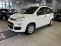 Fiat Panda Panda 1.2 super jolie a voir ✅✅ - thumbnail 1