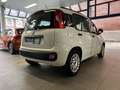 Fiat Panda Panda 1.2 super jolie a voir ✅✅ - thumbnail 6