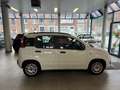 Fiat Panda Panda 1.2 super jolie a voir ✅✅ - thumbnail 4