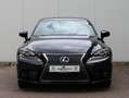 Lexus IS 300 300h F Sport Line | Stoelventilatie | Leder | Elek Schwarz - thumbnail 2