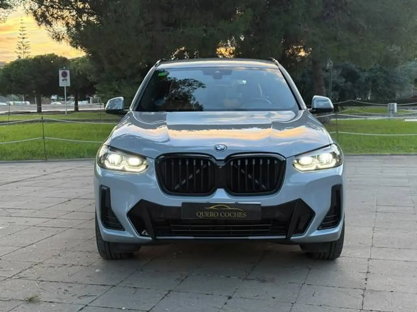 BMW X3 xDrive 30e xLine Gris - 2