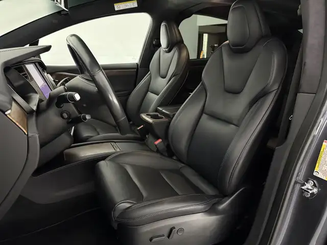 Tesla Model X view 17