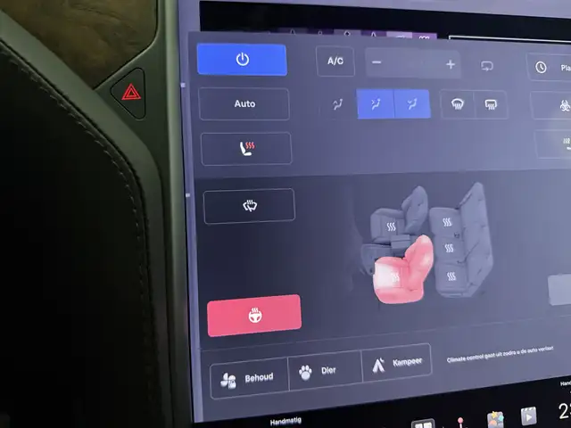 Tesla Model X view 28