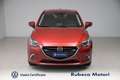Mazda 2 1.5 Skyactiv-G Evolve 90CV Rosso - thumbnail 2