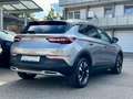 Opel Grandland X 1.2T Design Line,RKAM,KLIMAAT,AGR Grau - thumbnail 8