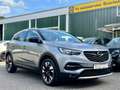 Opel Grandland X 1.2T Design Line,RKAM,KLIMAAT,AGR Grau - thumbnail 2