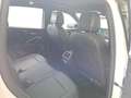 Volkswagen Tiguan 2.0 TDI SCR 4MOTION DSG R-Line *HEAD-UP*P Weiß - thumbnail 14