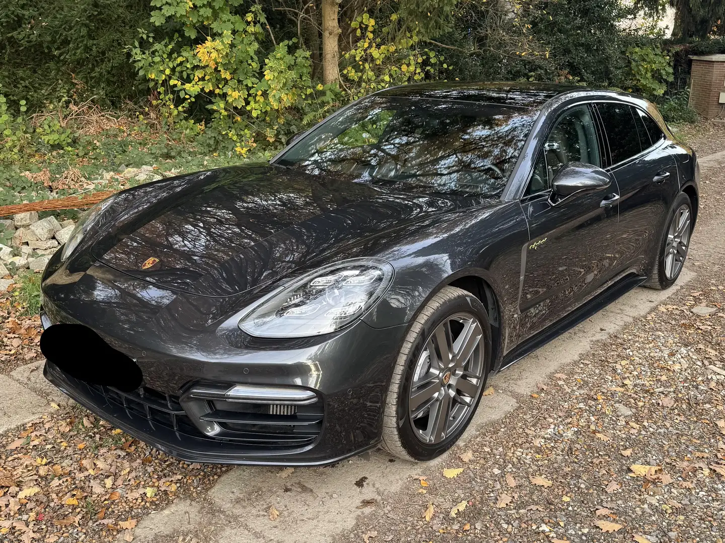 Porsche Panamera Panamera 4 e-Hybrid 2.9 V6 Bi-Turbo PHEV Platinium Edit PDK Gris - 1