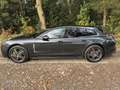 Porsche Panamera Panamera 4 e-Hybrid 2.9 V6 Bi-Turbo PHEV Platinium Edit PDK Gris - thumbnail 2