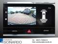 Kia Sportage 1.6 T-GDI MHEV *NAVI*RFK*LED*Digital* Blau - thumbnail 14