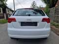 Audi A3 Ambiente 1,6 TDI DPF Weiß - thumbnail 4