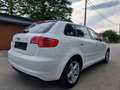 Audi A3 Ambiente 1,6 TDI DPF Weiß - thumbnail 5