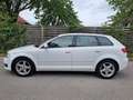 Audi A3 Ambiente 1,6 TDI DPF Weiß - thumbnail 2
