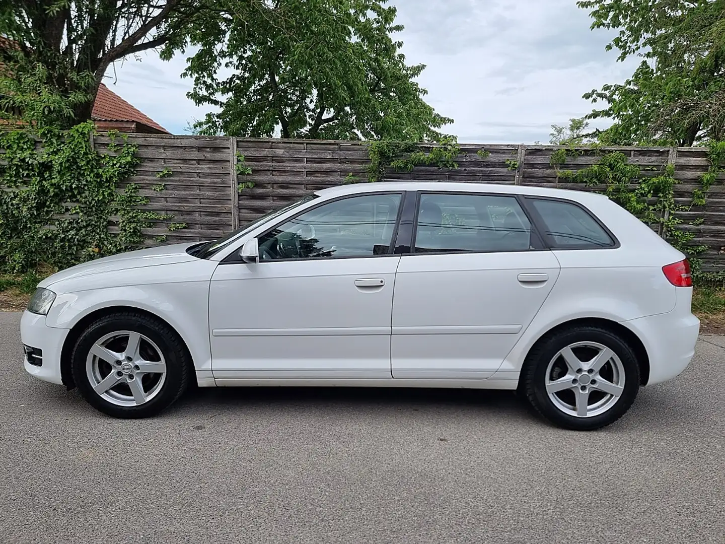 Audi A3 Ambiente 1,6 TDI DPF Weiß - 2